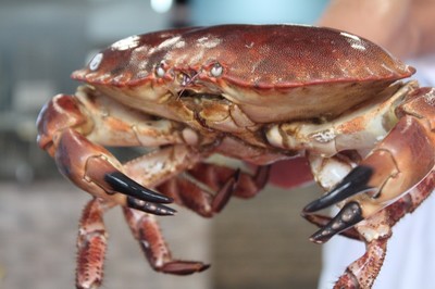 低至6.8折！徹底被啟東這家蒸汽海鮮店'蒸'服！