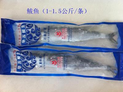 青島海鮮盛宴，禮遇四方 城陽海產品禮盒批發采購全指南